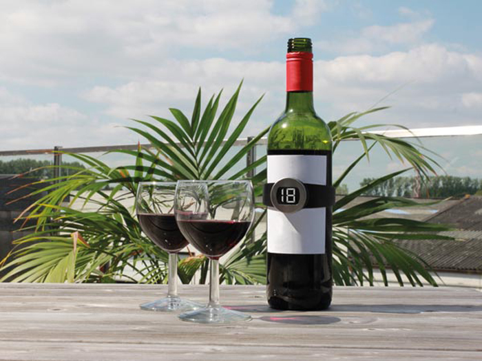 Termómetro Digital Garrafa de Vinho - DTP7