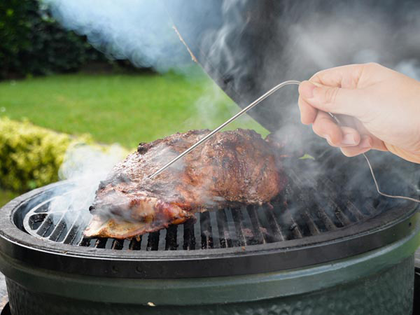 Bluetooth Digital Thermometer for Barbeque and Oven with EasyBBQ Software