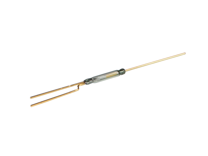 Reed Switch - 2-Way
