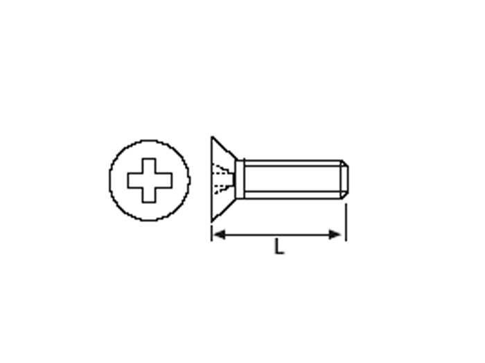 Vis DIN 84 Fer galvanisé - M3 x 5 - 25 Unités