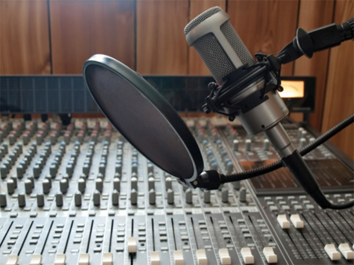 PDS-M16 - Filtre Écran Anti-Pop Anti-Vent 6&quot