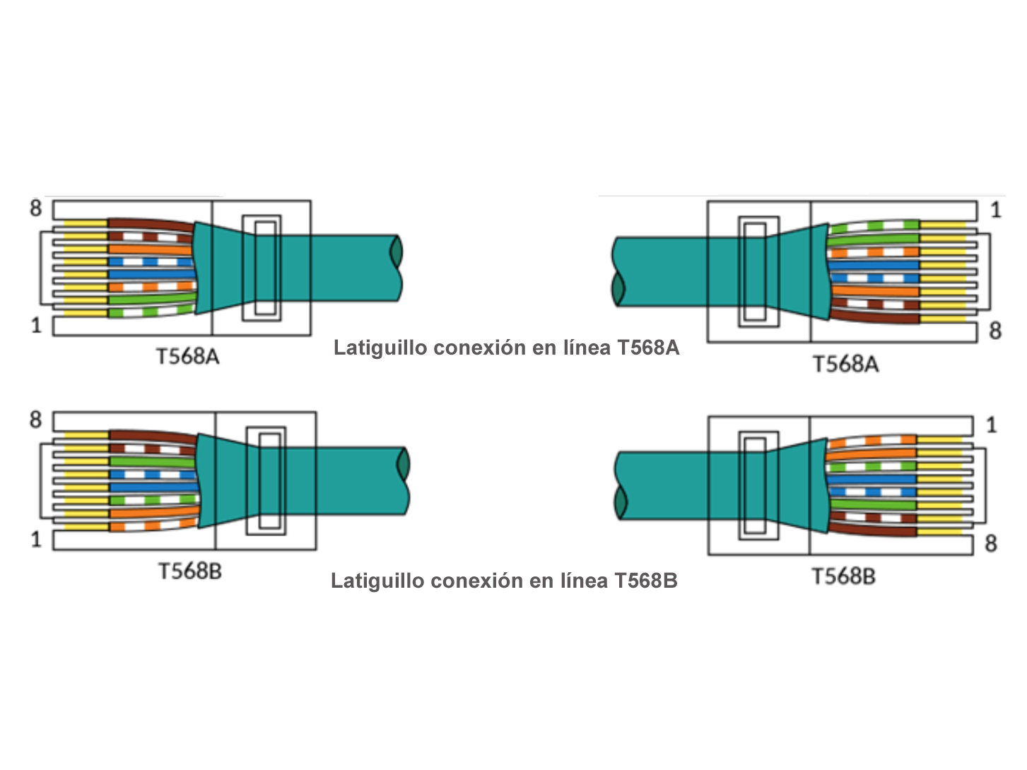 Matemático collar Mal humor Cómo conectar los conectores RJ45?