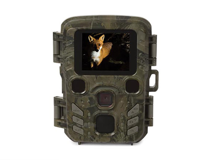 Câmara de Caça - WLC002