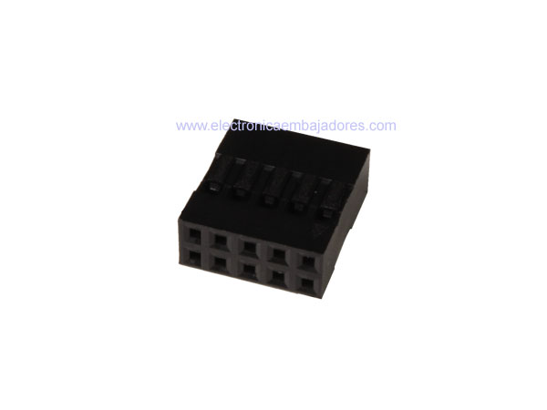 Caja Contactos Conector Poste no Polarizado 2,54 mm - 2x5 Contactos (Tipo Dupont)