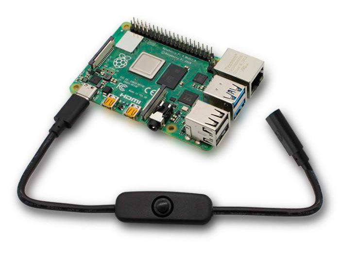 Interruptor con USB C - para Alimentaciones a través de Puerto USB-C - 0,27 m