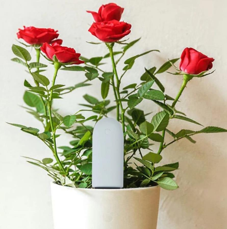 HHCCJCY01HHCC - Monitor inteligente de suelo Bluetooth para plantas y flores
