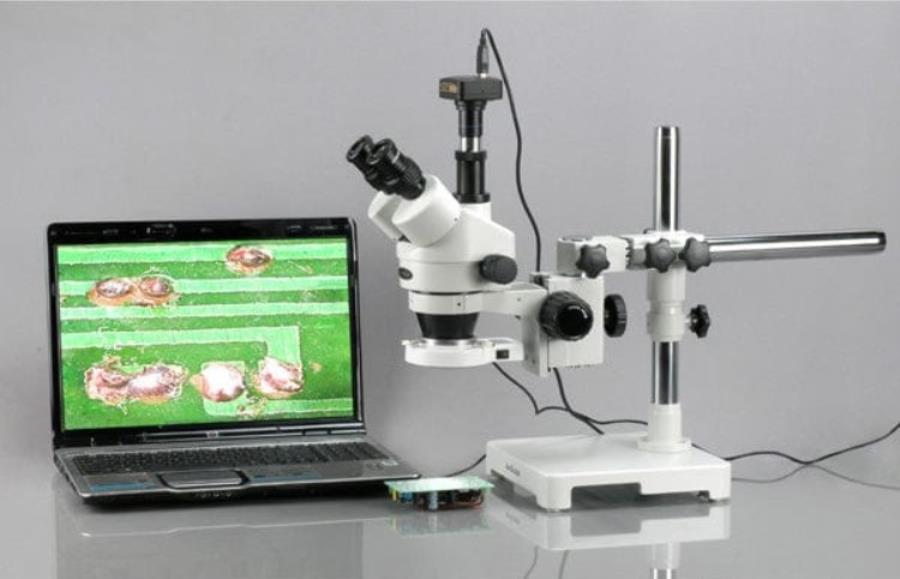 AmScope SM-3T - Microscopio trinocular estereoscópico con cámara 5 MP y anillo de luz - SM-3T-54S-5M-3PL