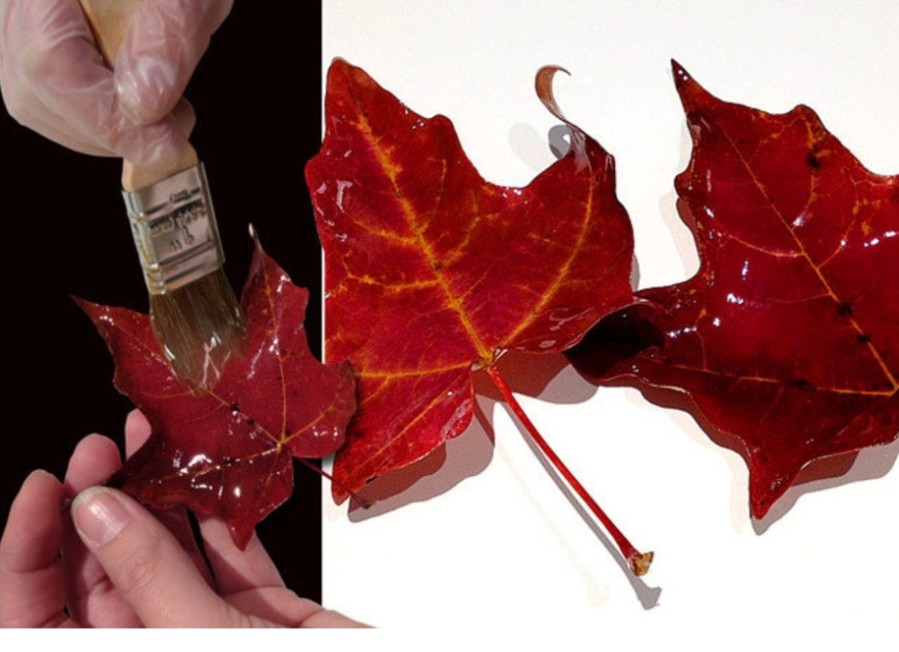 Smooth-On - Resina Epoxy protectora para el acabado de piezas impresas en 3D en 2 componentes - 181 g