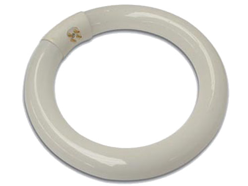 Tubo Fluorescente Circular 22 W