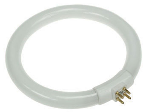 Circular Fluorescent Light Bulb 12 W T4 LAMP22 8