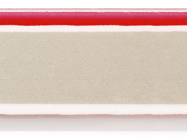 Bande Néon 1 m - Rouge