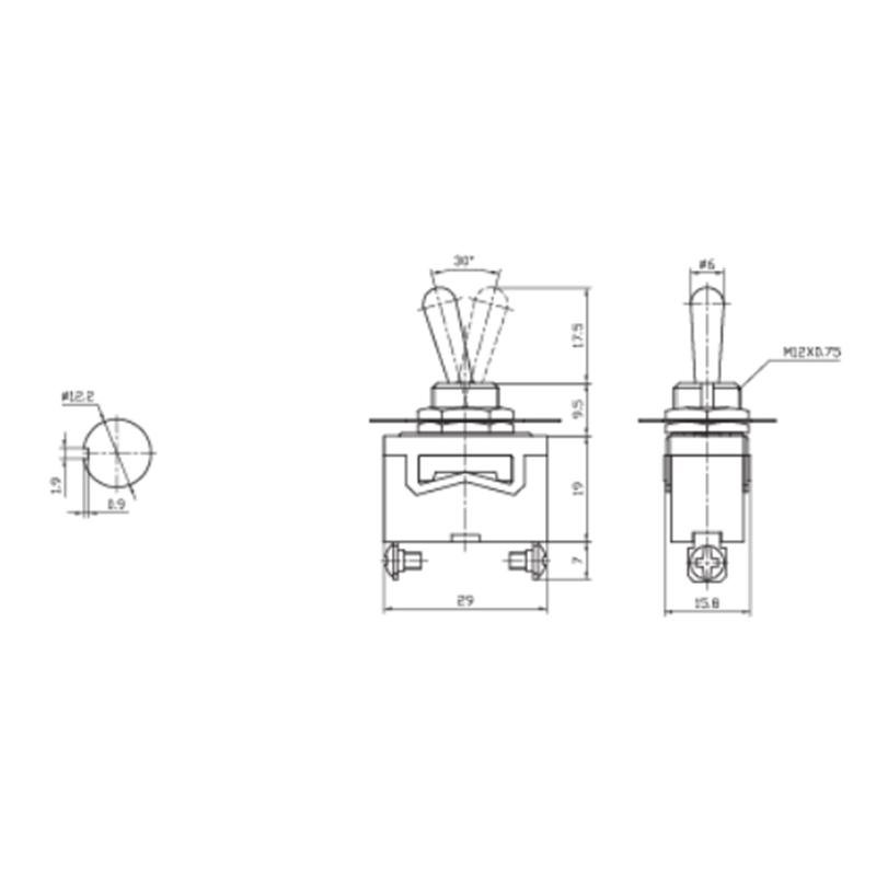 2P 1C - Large Toggle Switch