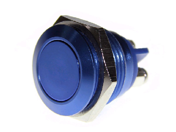 Panel-Mount Anti-Vandal Push Button Switch - 1NO - Blue