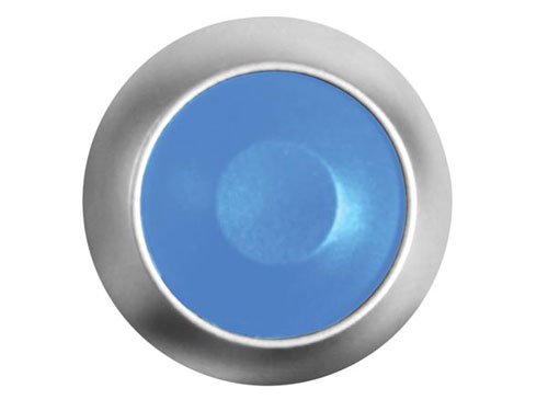 Serie 30 - Panel-Mount Push Button Switch - 1NO - Blue - R1398B