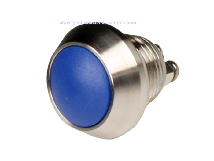 Serie 29 - Panel-Mount Push Button Switch - 1NO - Blue - IP65 - Screw Connection - DSKPM12SBSNSN2PR000 BLUE