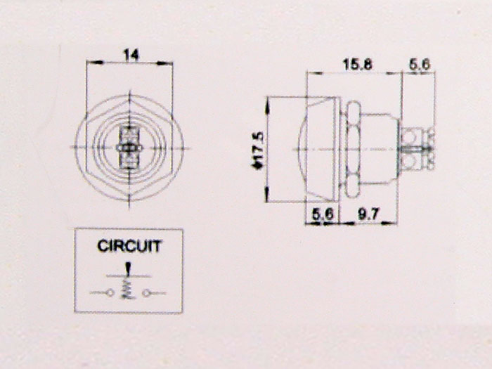 Serie 29 - Panel-Mount Push Button Switch - 1NO - Blue - IP65 - Screw Connection - DSKPM12SBSNSN2PR000 BLUE
