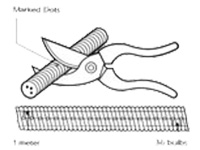 Green LED Rope Light - RLL145G