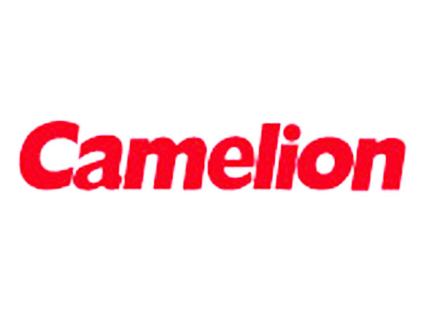 Camelion LR921 - AG6 - D371 - Pile Bouton Alcaline 1,5 V
