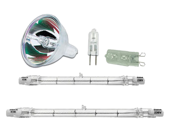 Halogen Light Bulbs